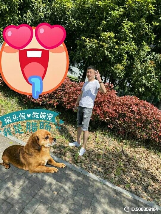 我若不坚强谁替我勇敢的第五张照片--肥西父母相亲团